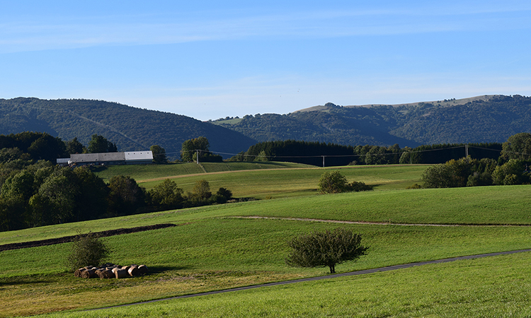 Le Plateau des Bornes en Haute-Savoie