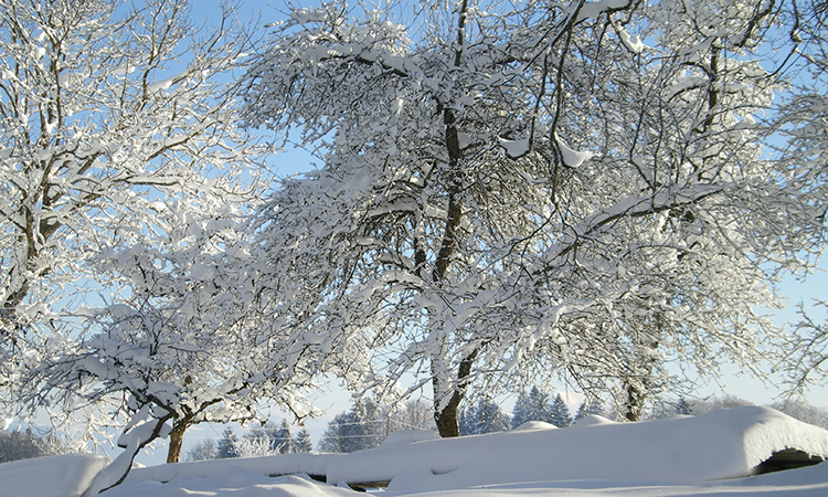 Domaines de ski alpin Haute-Savoie