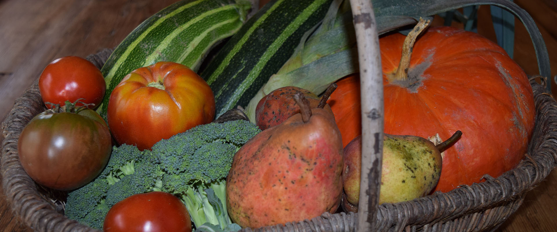 Légumes du jardin BIO